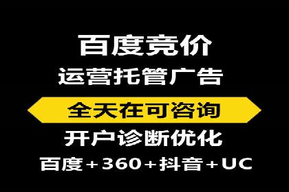 SEM代理案例：揭秘成功背后的秘密